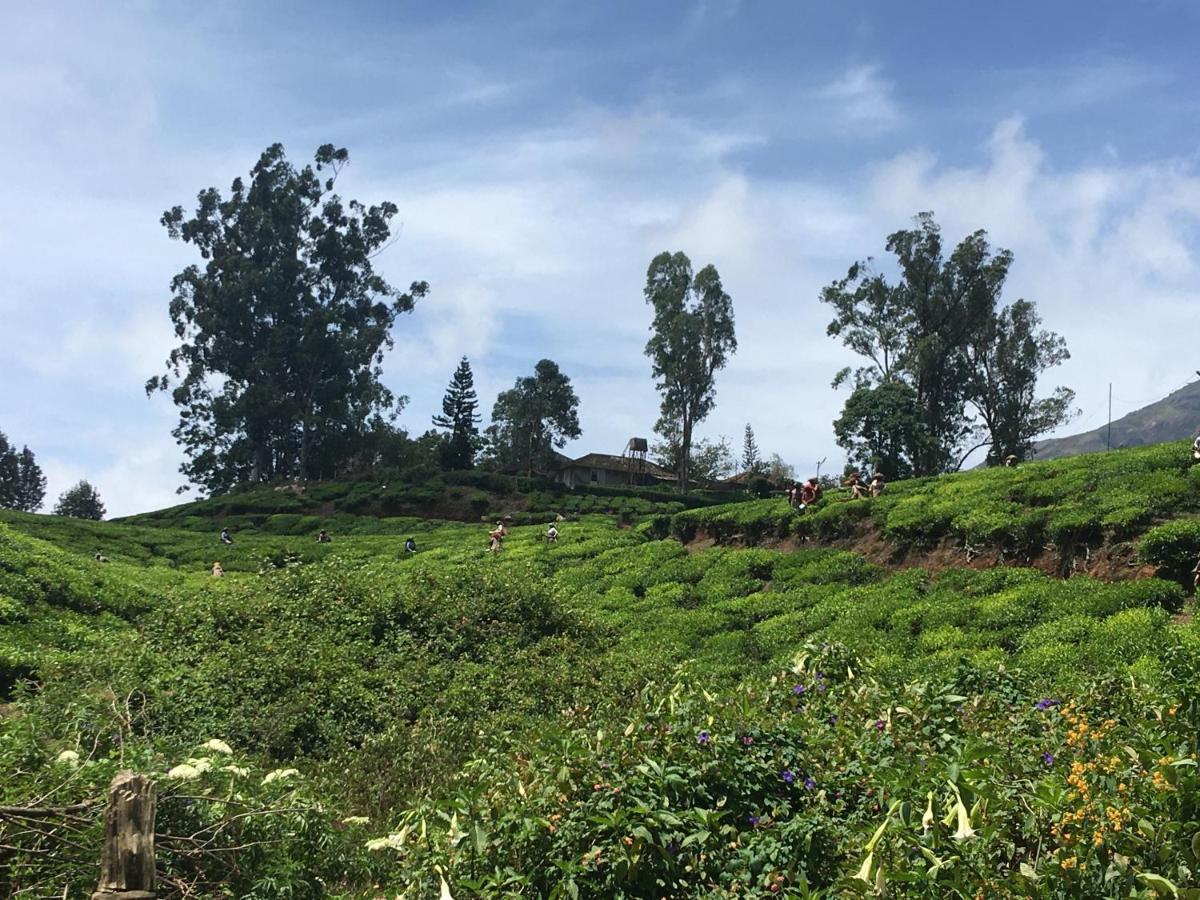 Golden Green Munnar Exterior foto
